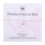 BB156 - Ffrindiau Gorau am Byth